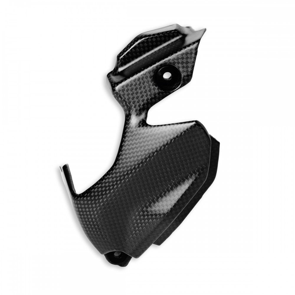 Ducati Paniagle Carbon Sprocket Cover 969A3712A