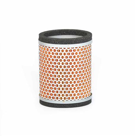 Triumph Air Filter T2202450