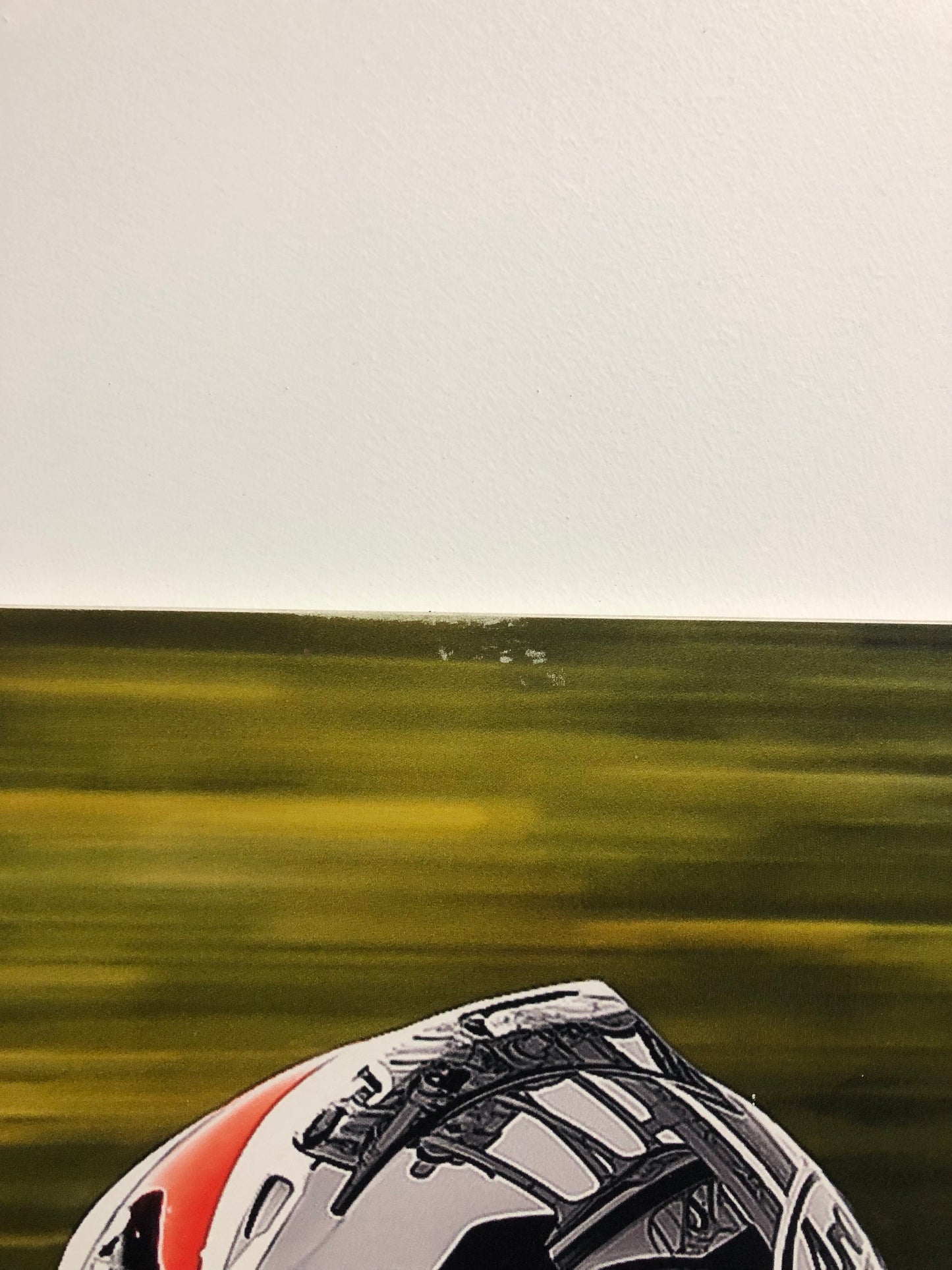 Ducati Dealer Wall Photo Panigale 899 - Color - Huge 6.5Ft By 4.9Ft