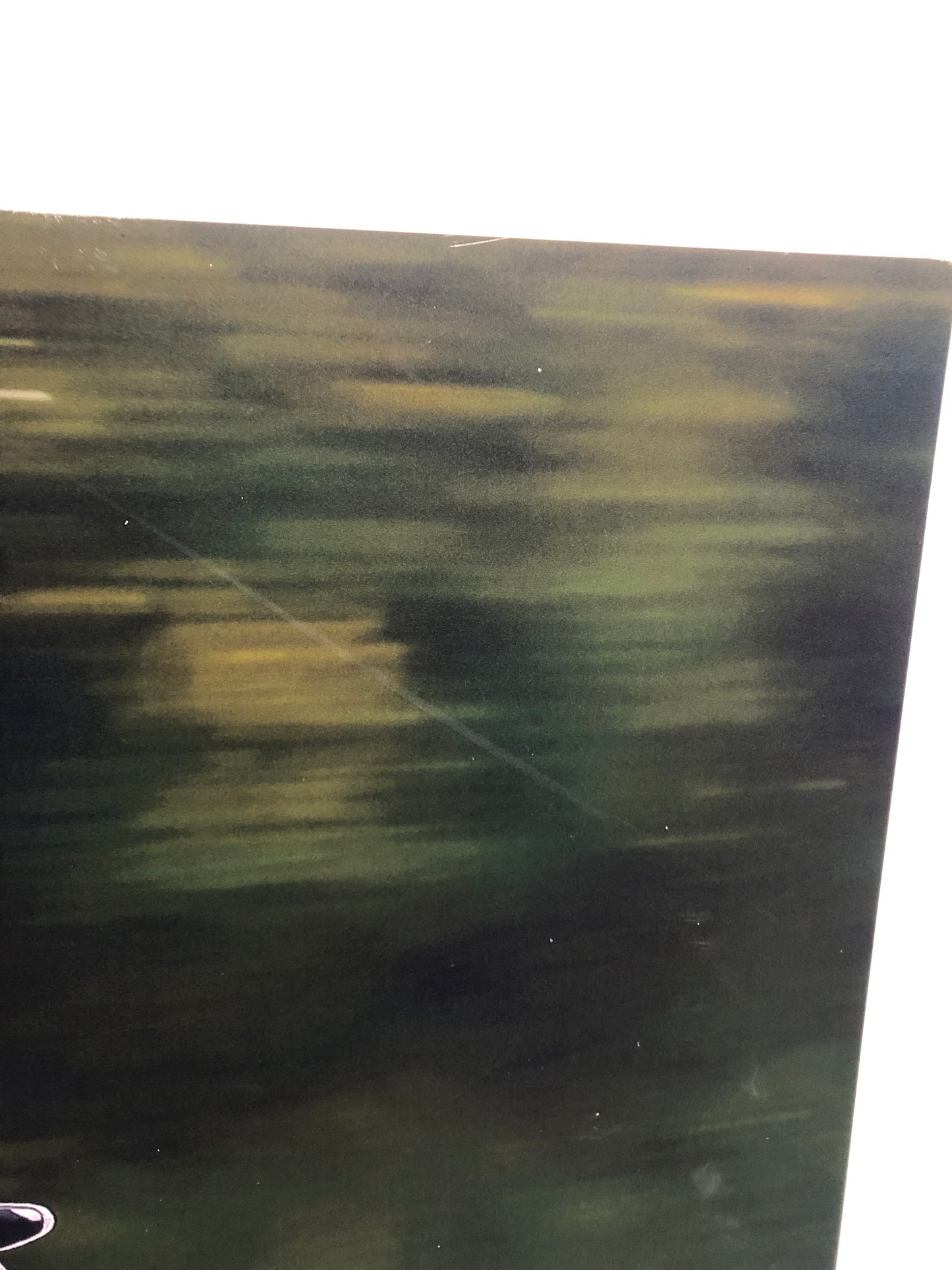 Ducati Dealer Wall Photo Panigale 899 - Color - Huge 6.5Ft By 4.9Ft