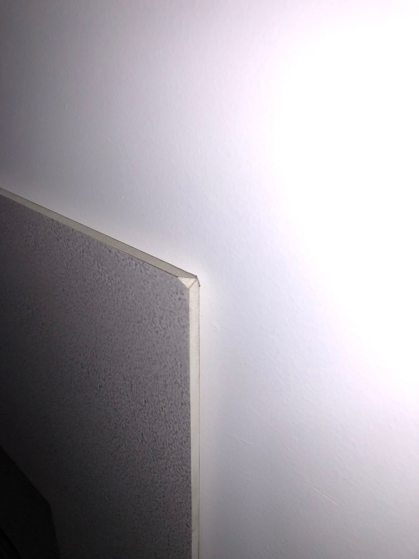 Ducati Dealer Wall Photo Ducati Factory - Color - Huge 5.9Ft By 4.9Ft