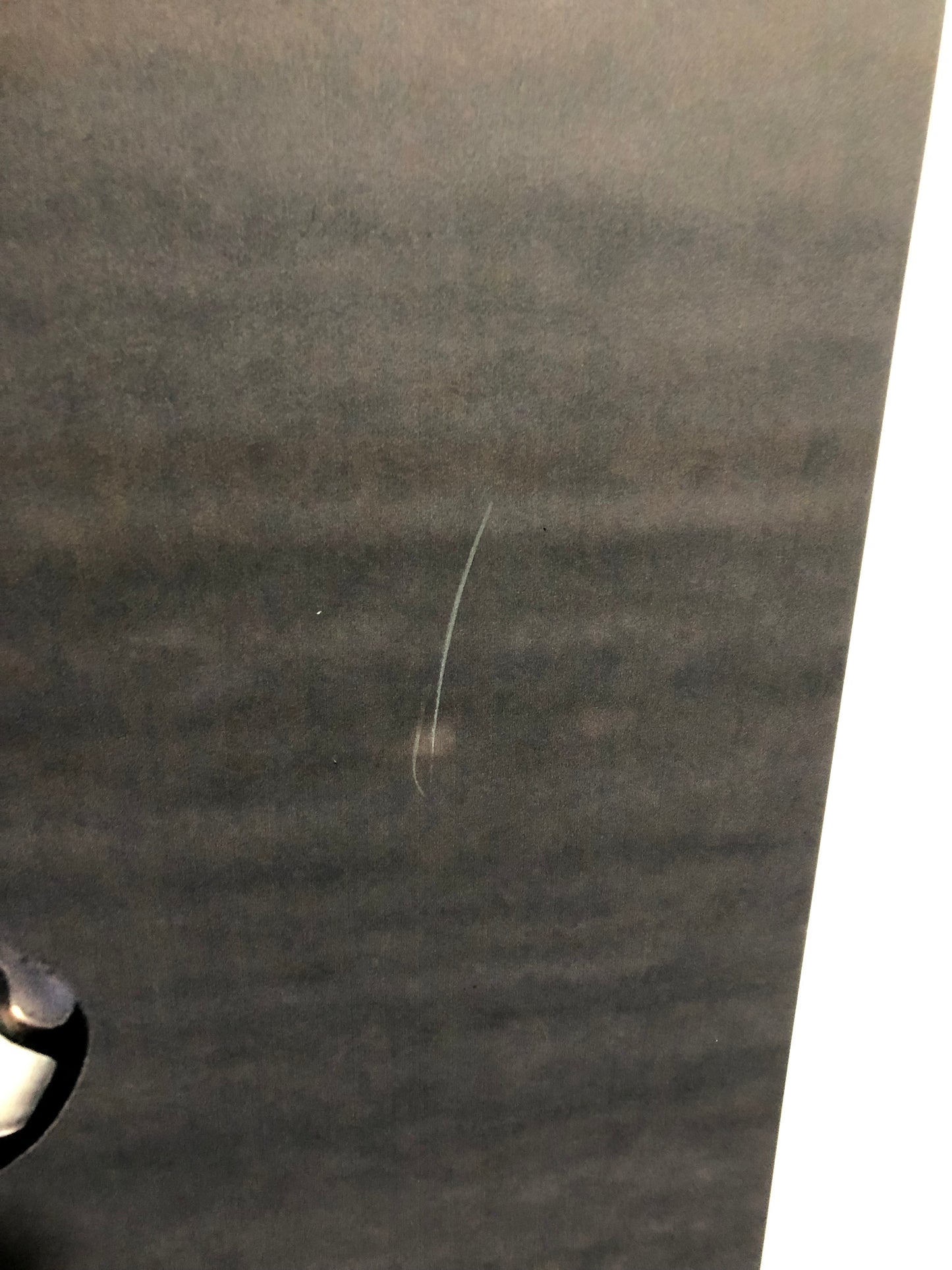 Ducati Dealer Wall Photo Troy Bayliss - Color - Huge 5.9Ft By 4.9Ft