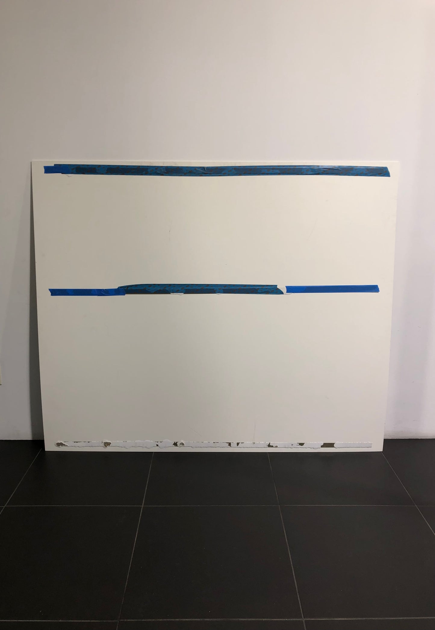 Ducati Dealer Wall Photo Troy Bayliss - Color - Huge 5.9Ft By 4.9Ft