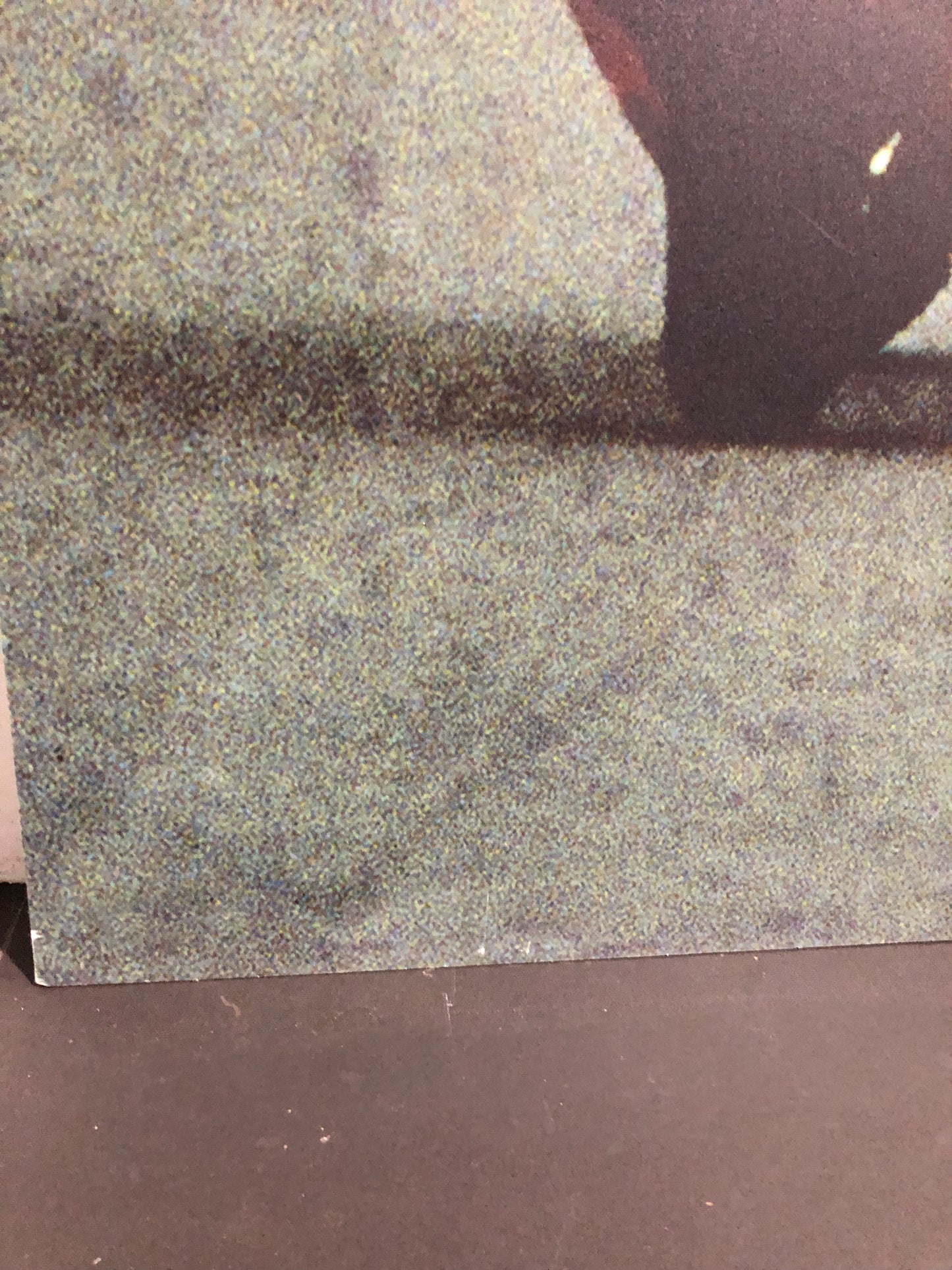 Ducati Dealer Wall Photo Carl Fogarty - Color - Huge 5.9Ft By 4.9Ft