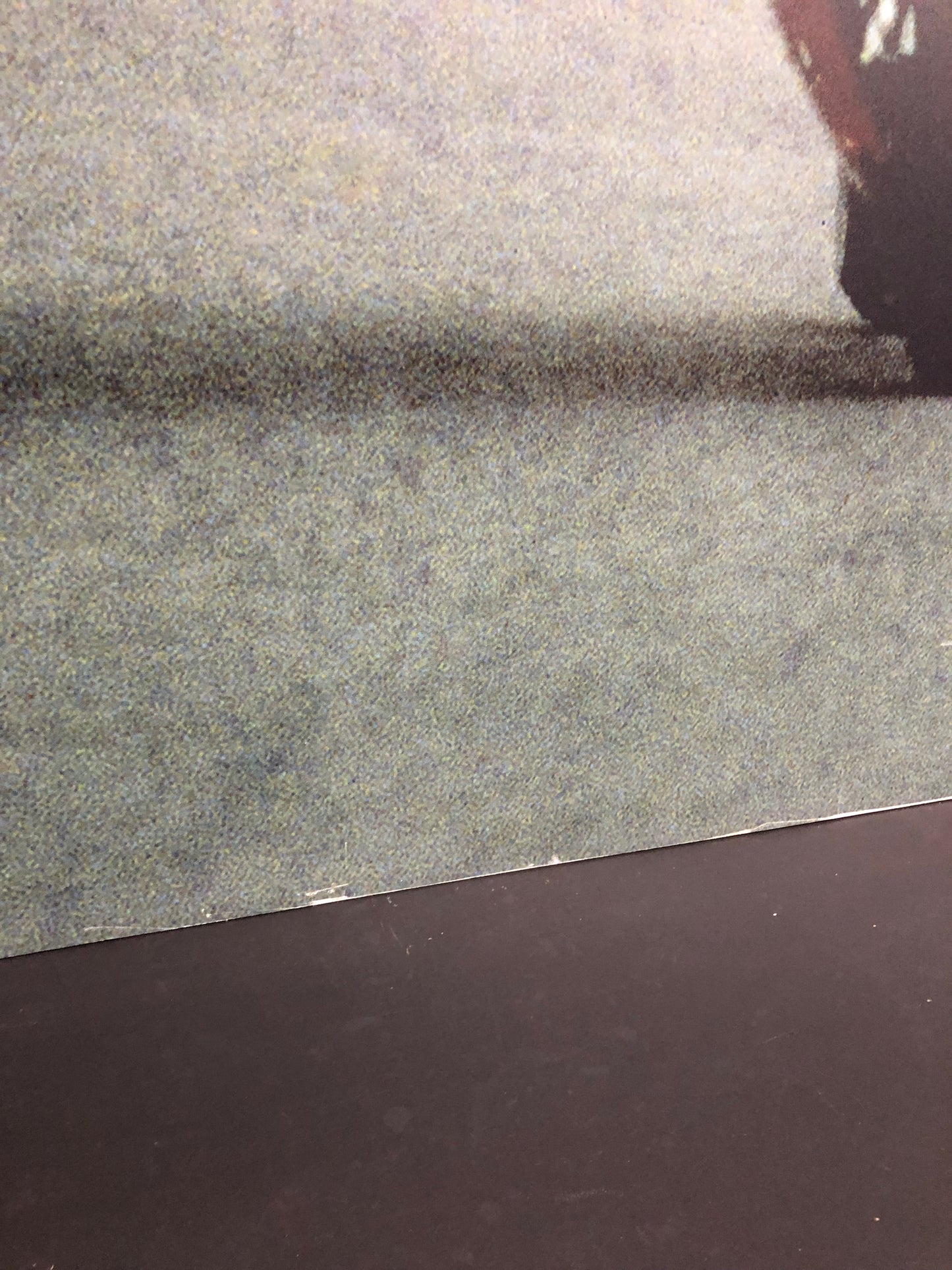 Ducati Dealer Wall Photo Carl Fogarty - Color - Huge 5.9Ft By 4.9Ft