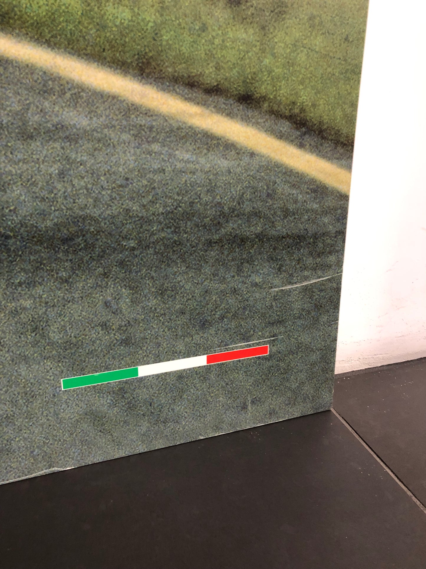 Ducati Dealer Wall Photo Carl Fogarty - Color - Huge 5.9Ft By 4.9Ft