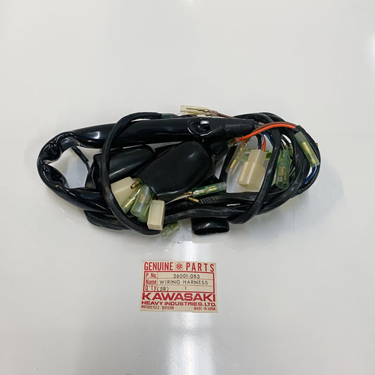 KAWASAKI WIRING HARNESS-MAIN 26001-063